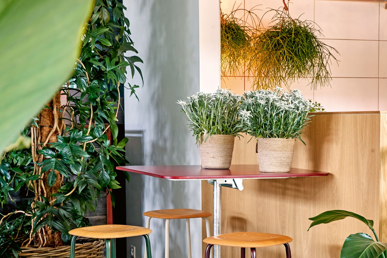 Zum wilden Gärtner, Embru.