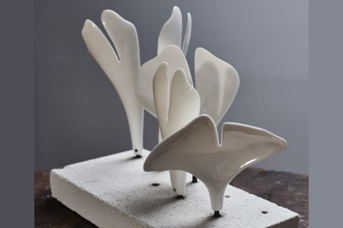 «Um letztere kümmerst sich sogar ein Luft- und Raumfahrtingenieur», meint die Künstlerin stolz.