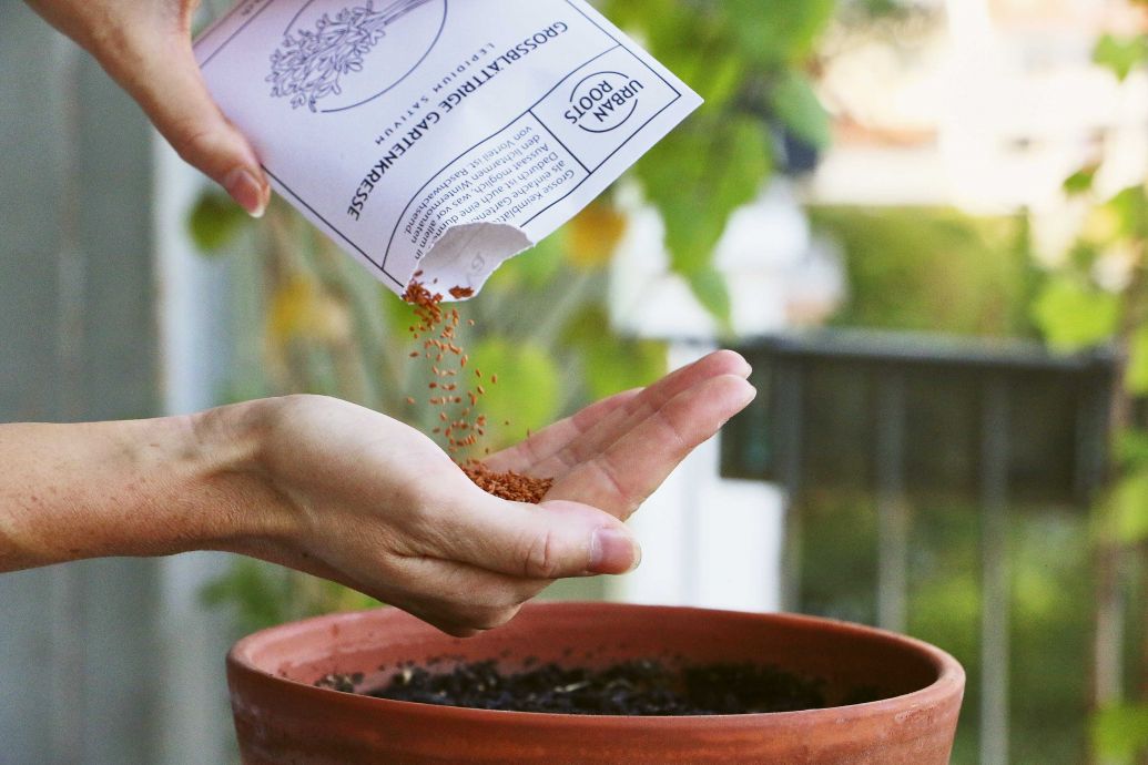 Carla Boschung mit Team Pflanzerei in Zürich.
