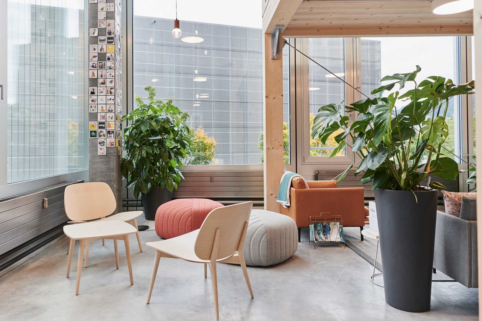 Raumgestaltung mit Pflanzen von Oxygen at Work.