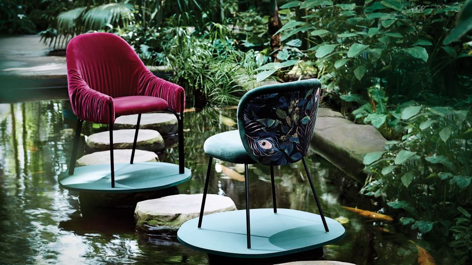 Ein schöner Rücken...