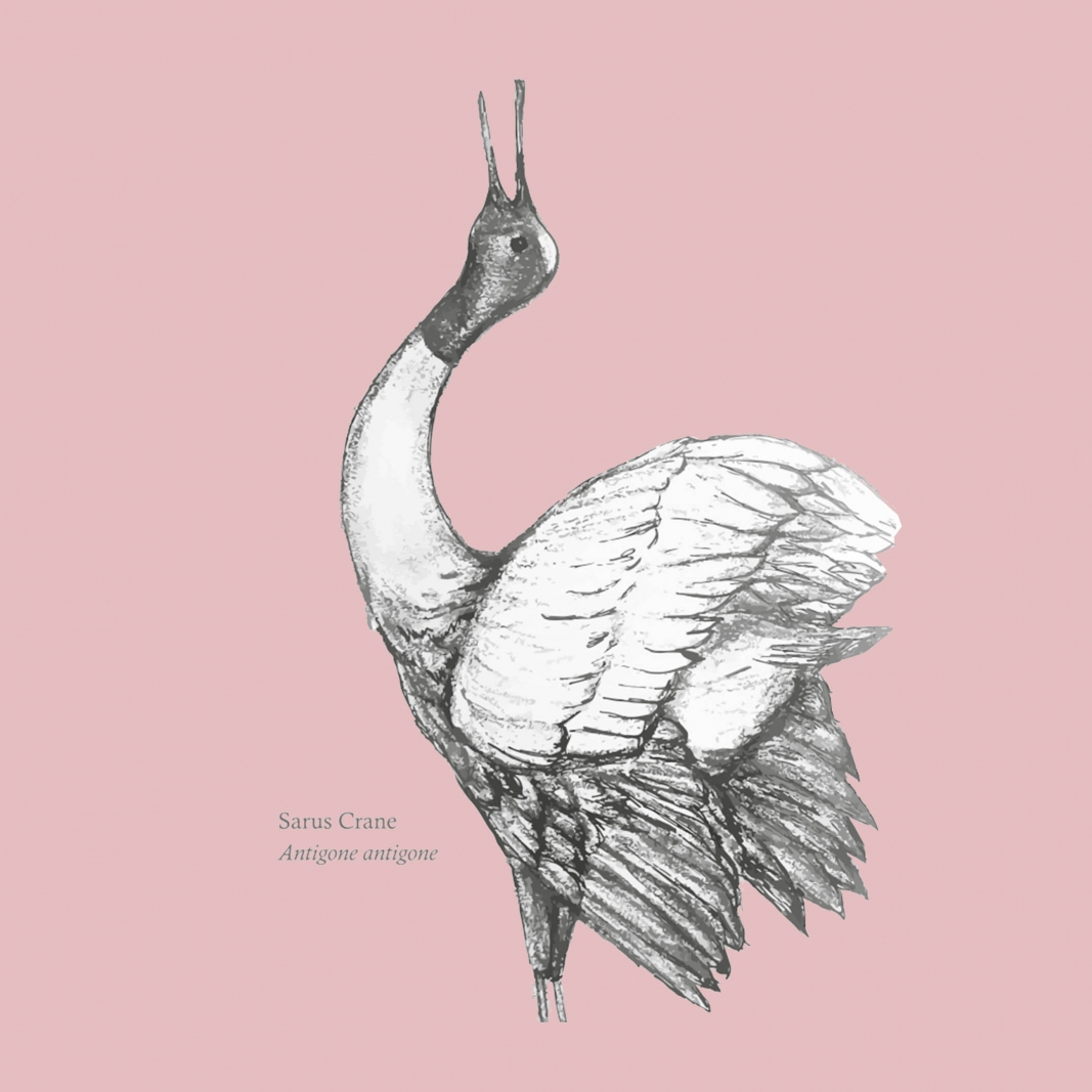 Um noch möglichst lange den Tönen seltener Vögel lauschen zu können, wurde eigens eine Sammlung exklusiver Keramikstücke sowie Schwarzweiss-Drucke zusammengestellt, die das Abbild vor dem Aussterben bedrohter Vogelarten zieren. Mit dem Erwerb der Objekte geht eine direkte Spende an BirdLife International einher. CURATEDPIECES.COM.