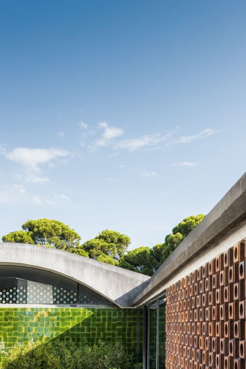 Die Bögen nehmen das Profil der Kiefern auf und erzeugen ein Wechselspiel zwischen Natur und der Konstruktion des Baus.