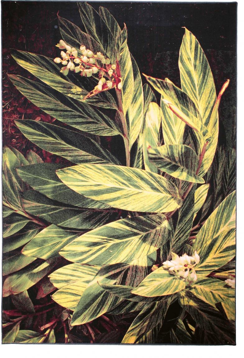 Nadja Stäubli Vor zwölf Jahren gründete Nadja Stäubli das Label Schönstaub. Ein Rechtsstreit veranlasste die erfolgreiche Marke zu einem Rebranding. Der neue Name Sula ist eine Hommage an die verstorbene Mutter der Desig-nerin, die Ursula hiess. Auch in der Designwelt des Zürcher Labels gibt es immer wieder Neues zu entdecken. Für die Teppichkollektion «Tropicana» liess sich Nadja Stäubli von ihren Reisen in tropische Destinationen inspirieren. Die exotische Flora und Fauna mit ihrer beeindruckenden Farbenpracht und Vielfalt bot das perfekte Motiv für ihre Kamera. Vier Aufnahmen von Palmen und Kakteen wurden zu Teppichen aus 100 Prozent Kunstseide. Die beeindruckende Webtechnik mit drei Millionen Knoten pro Quadratmeter sorgt für ein fotorealistisches Ergebnis. SULAWORLD.COM