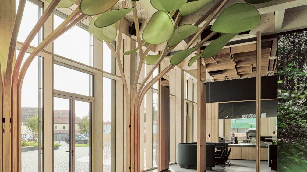 Mit dem Wald auf Tuchfühlung