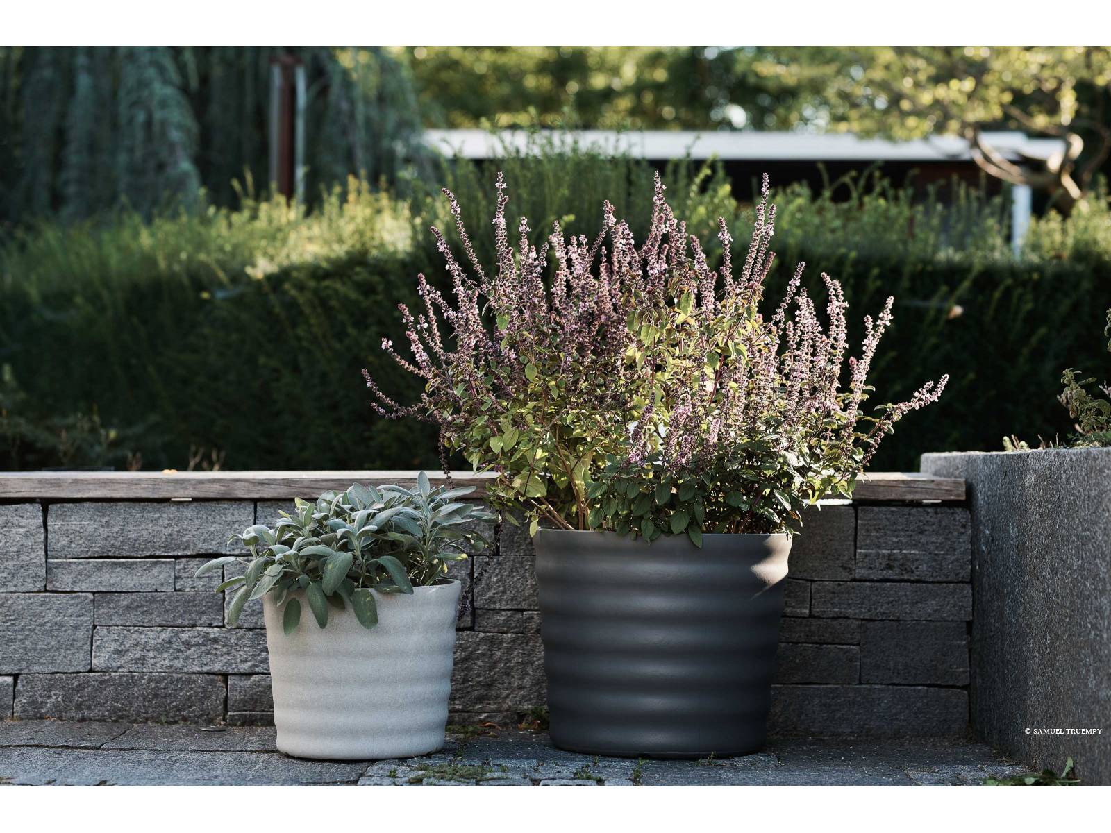 Die Pflanzgefässfamilie «Maia» des Designers Michel Charlot bekommt Zuwachs. Die neue und zugleich kleinste Version der Kollektion ist 30 cm hoch und wird wie ihre grösseren Geschwister von Hand aus Faserzement gefertigt. So wird jedes Gefäss zum Unikat. SWISSPEARL.