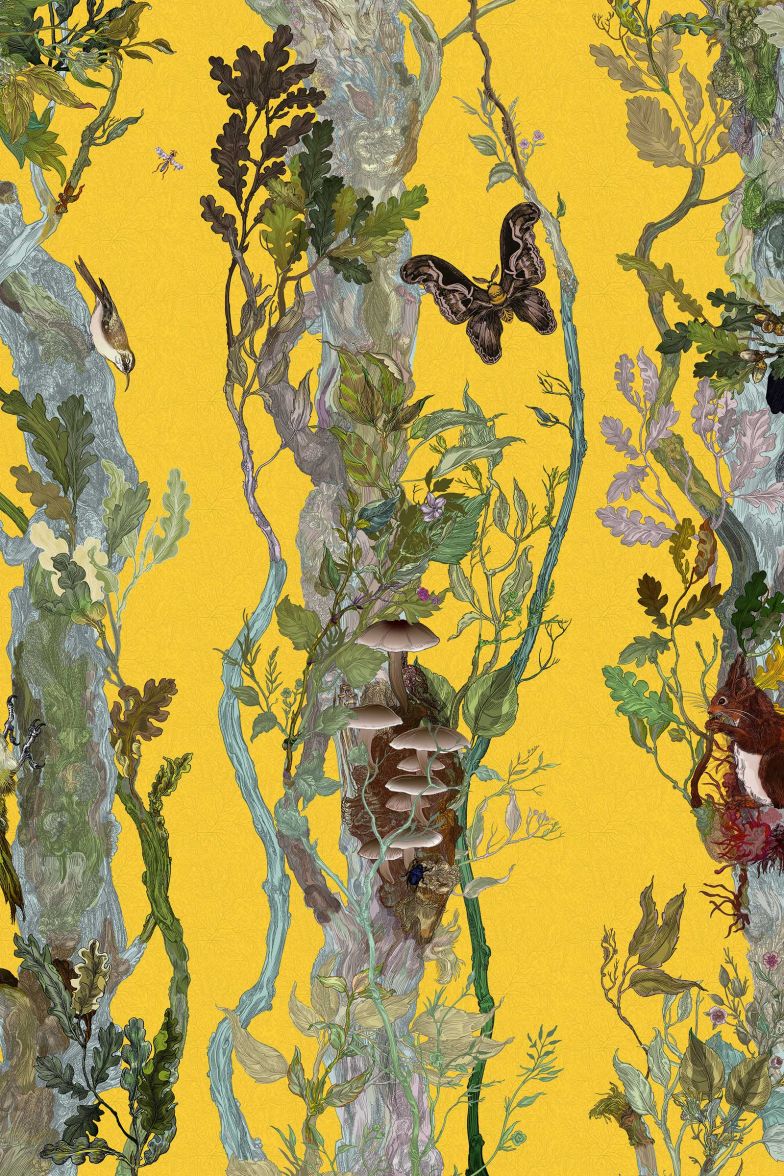 In den schattigen Tiefen des Waldes tanzen Schmetterlinge und Vögel einen wilden Reigen, wo jedes Blatt und jede Faser eine Geschichte von unbändiger Extravaganz flüstert – ein Wandbild, das mehr ist als Tapete, es ist eine gerahmte Wildnis voller bezaubernder Kraft. Tapete: «Indie Wood». timorousbeasties.com
