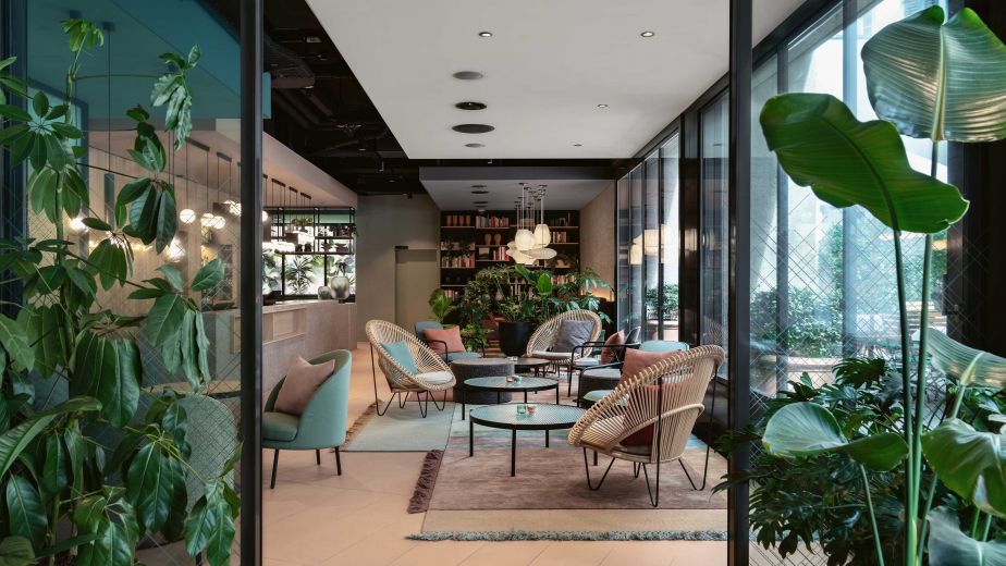 Dschungel in Zürich