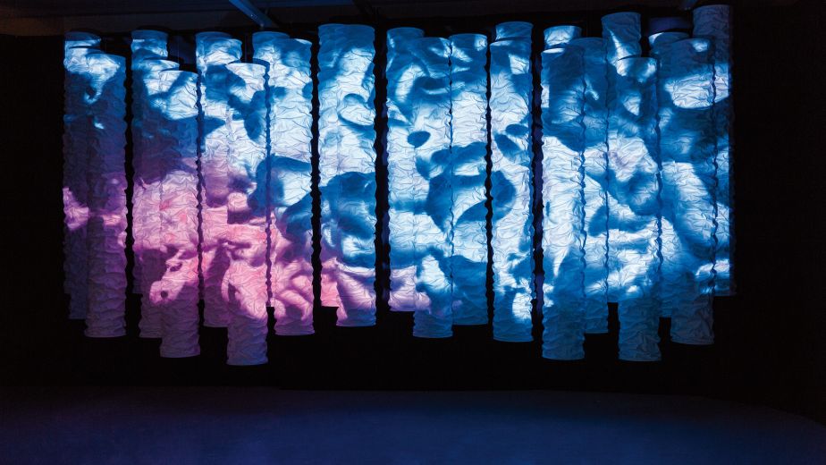 Auf Tuchfühlung mit «Ella» 