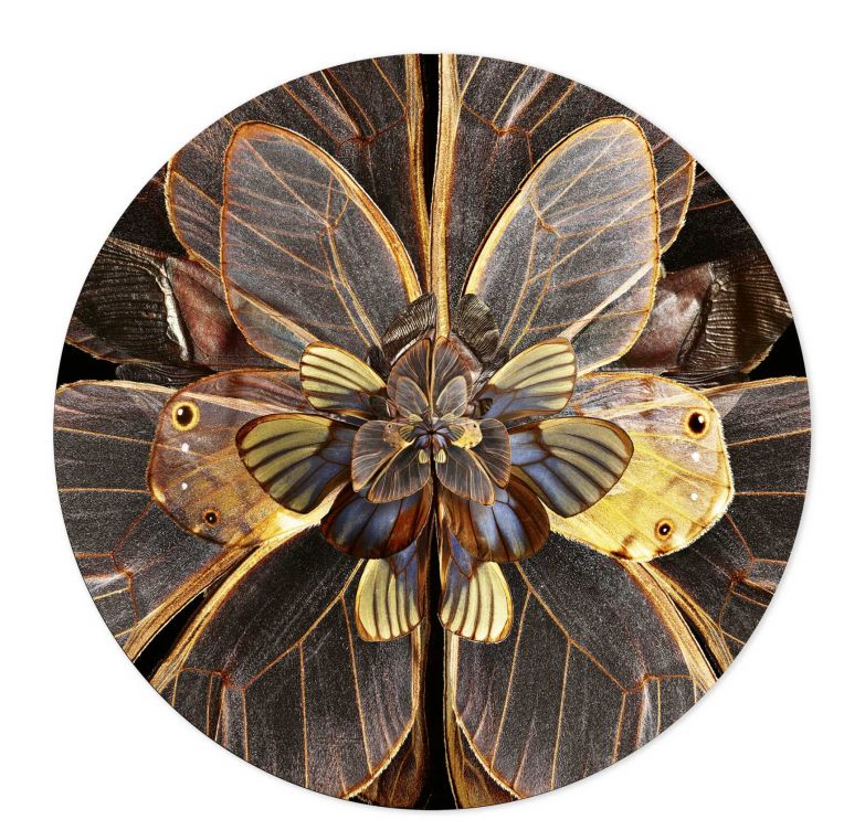 Die Teppichkollektion «Mimesis» bringt die fantastischen Sujets des Künstlers und Fotografen Seb Janiak im wahrsten Sinne des Wortes auf den Boden. Janiak hat dabei die Fähigkeit bestimmter Tiere eingefangen, sich vor Feinden zu schützen, indem sie das Aussehen gefährlicher Tiere nachahmen – genannt «Mimikry». MOOOICARPETS.COM