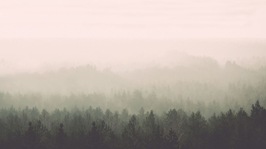 Wall of Fame – Stoffe &amp; Tapeten