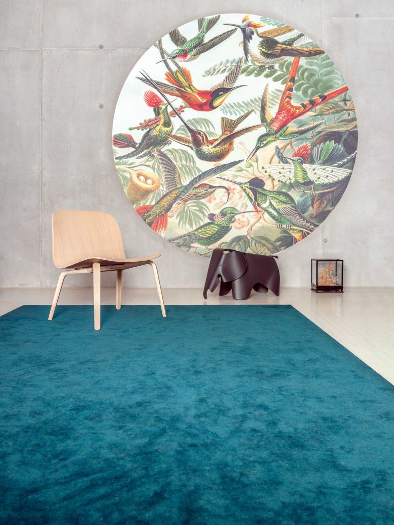 Extrem widerstandsfähig sowie mit einem wirksamen Fleckenschutz versehen ist «Clean» ein Teppich für unzählige Anwendungsbereiche. Es gibt ihn in elf Farben, wobei das Garn bereits während der Herstellung durchgefärbt ist, was ihm seine Leuchtkraft verleiht. TISCA.COM