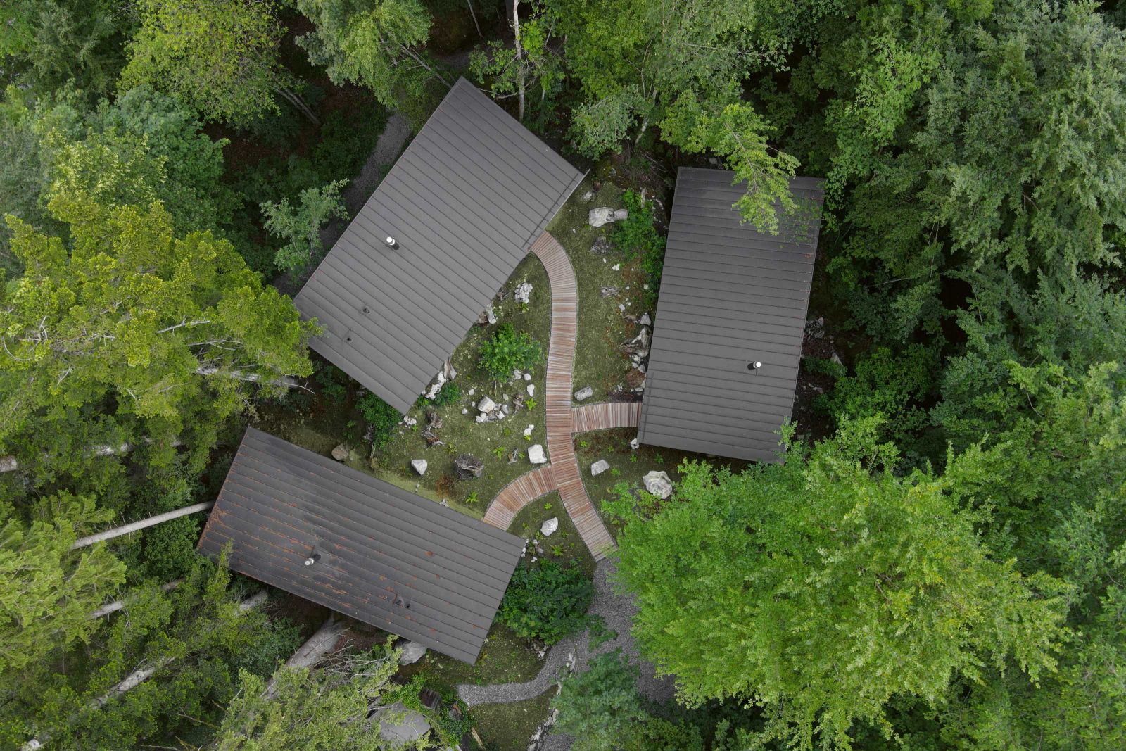 Inmitten von Laubbäumen und Tannen stehen drei neue Waldhäuser. Ein Ensemble, das behutsam in die Umgebung eingepasst wurde. Foto: Andrea Diglas Photography.